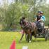 Nashoba Carriage Clubâ€™s Spring Driving Derby